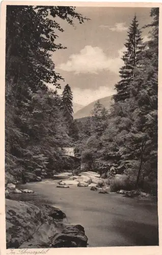 Schwarzatal (Thür.Wald) Partie an der steinernen Brücke ngl 184.941