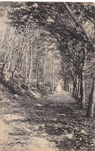 Schwarzburg (Thür.Wald) Buchenweg unterm Eberstein ngl 184.940