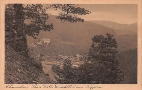 Schwarzburg (Thür.Wald) Durchblick vom Trippstein ngl 184.923