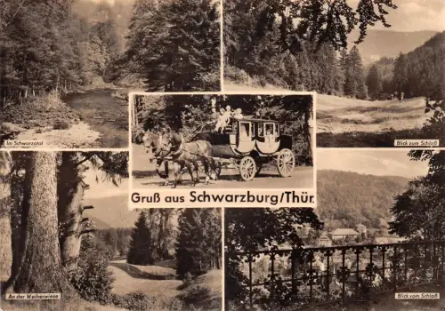 Schwarzburg (Thür.Wald) Mehrbildkarte ngl 184.934