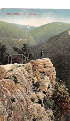 Schwarzatal (Thür.Wald) Der Griesbachfelsen ngl 184.938