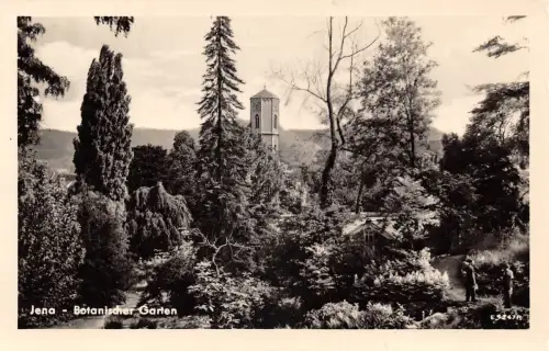 Jena Botanischer Garten gl1957 185.081