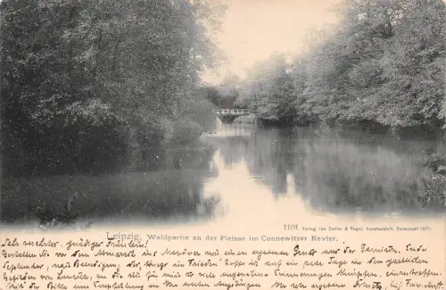 Leipzig Waldpartie an der Pleisse im Connewitzer Revier gl1902 185.260