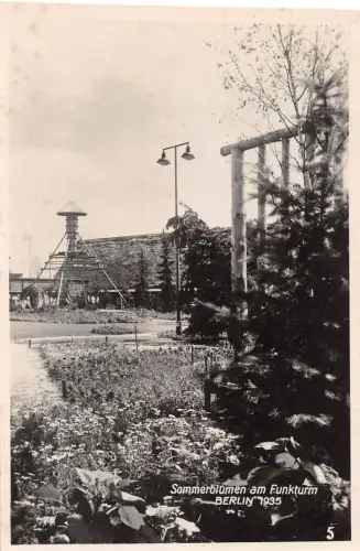 Berlin Sommerblumen am Funkturm 1935 Fotokarte ngl 185.791