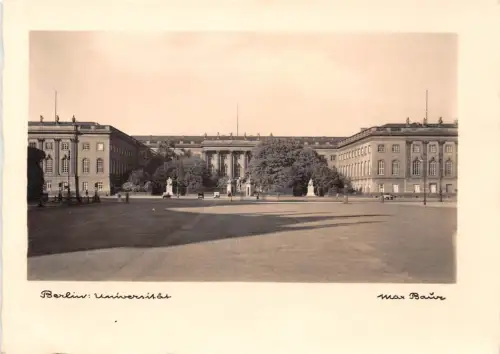 Berlin Universität ngl 185.886
