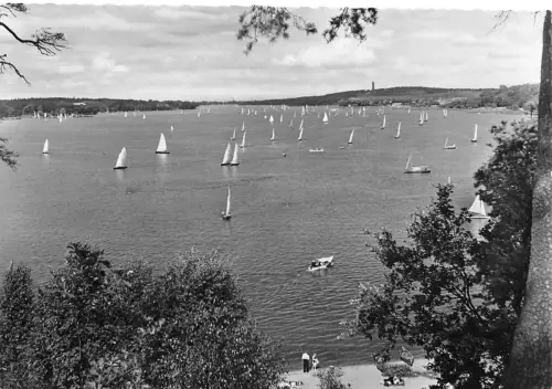 Berlin Havelblick mit Grunewaldturm ngl 185.906