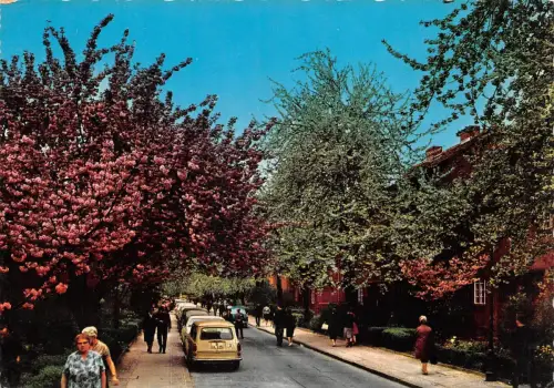 Berlin Britzer Baumblüte ngl 186.056