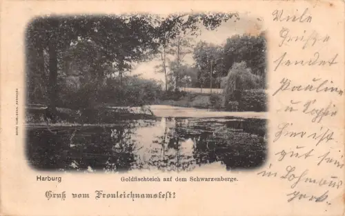 Hamburg-Harburg Goldfischteich, mit Zudruck gl1904 186.174