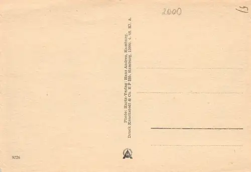 Hamburg Rathaus und Rathausmarkt ngl 186.180