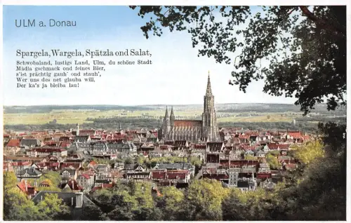 Ulm a. d. Donau Panorama mit Spruch ngl 186.265