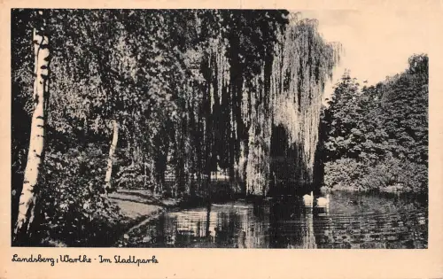 Posen Landsberg/Warthe Im Stadtpark ngl 186.286