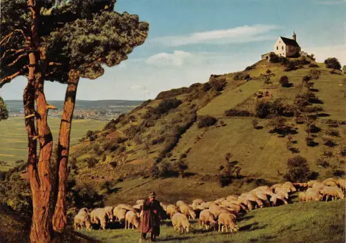 Wurmlinger Bergkapelle ngl 186.315