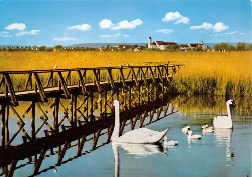 Bad Buchau a. Federsee vom See aus gesehen ngl 186.456