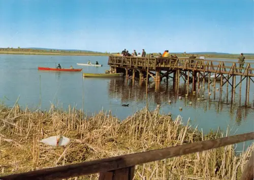 Bad Buchau a. Federsee Steg mit Terrasse ngl 186.455