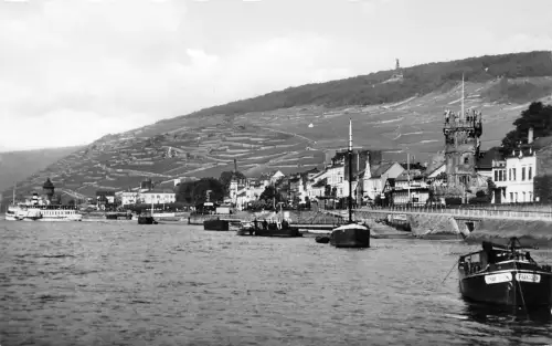 Rüdesheim a. Rhein Panorama ngl 186.644