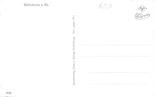 Rüdesheim a. Rhein Panorama ngl 186.644