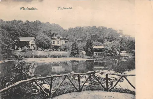 Wiesbaden Fischzucht ngl 186.643