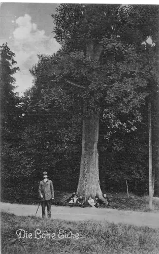 Immekeppel Die Löhe Eiche gl1924 186.623