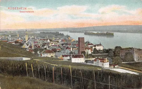 Rüdesheim a. Rhein Gesamtansicht ngl 186.647