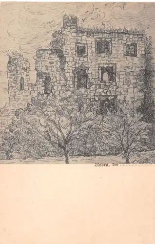Nebra (Unstrut) Ruine Künstlerkarte ngl 186.745