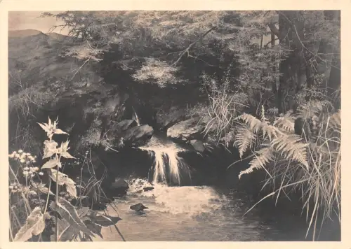 HDK 397 Willy Kriegel Die Quelle feldpgl1943 186.800