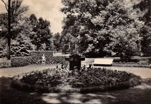 Bad Lausick i. Sa. Vogelbrunnen im Kurpark ngl 187.242