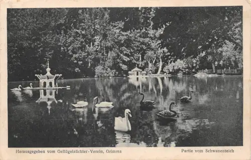 Grimma Partie vom Schwanenteich gl1932 187.311