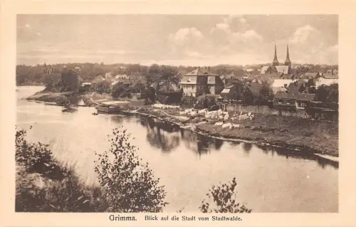 Grimma Blick auf die Stadt ngl 187.315