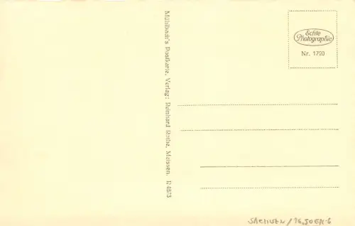 Oschatz Neumarkt mit Rathaus ngl 187.342