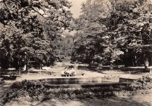 Bad Düben Im Kurpark gl1963 187.402