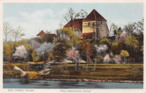 Bad Düben Altes historisches Schloß ngl 187.406