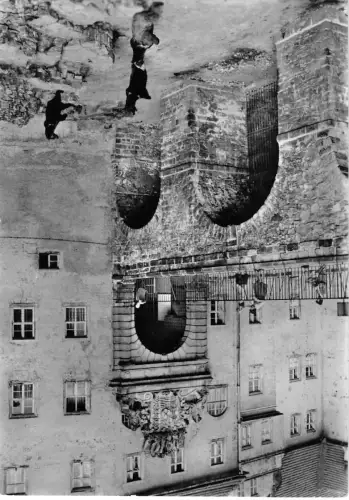 Torgau Bärenfreigehege ngl 187.427