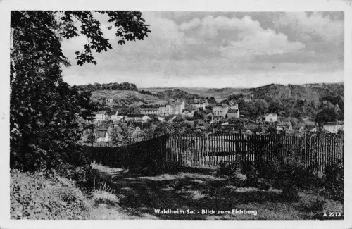 Waldheim i.Sa. Blick zum Eichberg gl1957 187.501