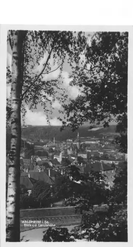 Waldheim i.Sa. Blick von der Carolahöhe ngl 187.526