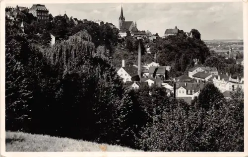 Leisnig Panorama Fotokarte gl1958 187.573