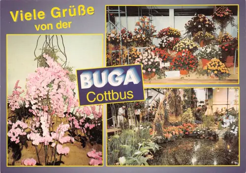 Cottbus BUGA Mehrbildkarte ngl 187.596