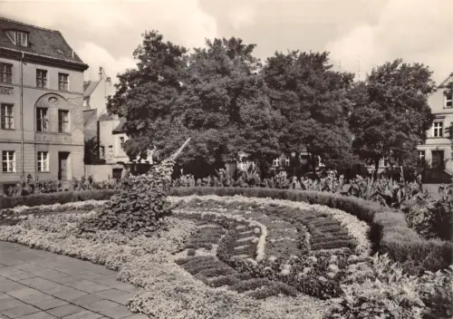 Cottbus Blumenuhr ngl 187.661