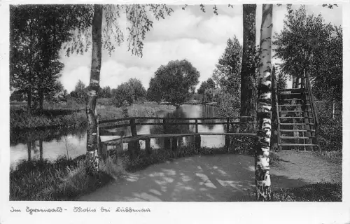 Lübbenau (Spreewald) Rückseitig mit Werbezudruck ngl 187.762