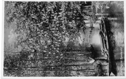 Frühling im Spreewald gl1939 187.761