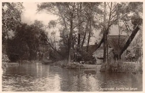 Leipe (Spreewald) Partie im Spreewald ngl 187.781
