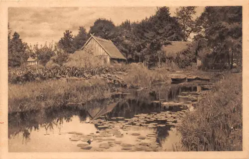 Spreewald Wasserrosen ngl 187.816