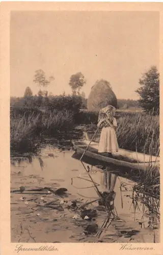 Spreewald Wasserrosen ngl 187.819