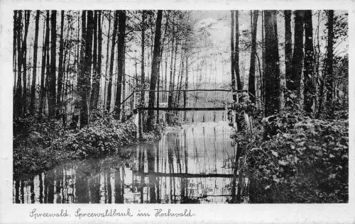 Spreewald Spreewaldpark im Hochwald gl1951 187.832