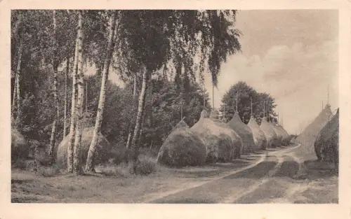 Straupitz Heuschober ngl 187.872