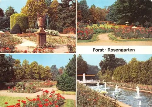 Forst Mehrbildkarte gl1983 187.907