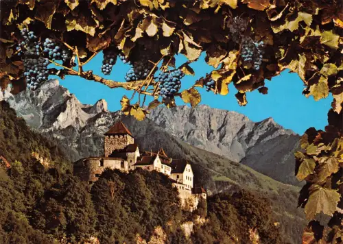 FL Vaduz Schloß ngl 188.047