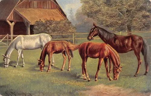 Tiere Pferde Künstlerkarte gl1910 188.099