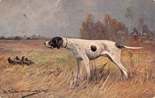 Tiere Hunde Künstlerkarte 1905 gl1910 188.102