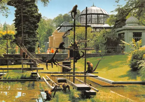 Stuttgart Wilhelma Affengehege ngl 188.139