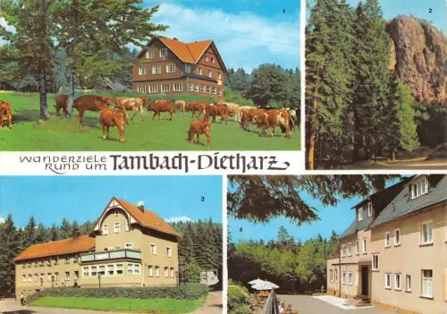 Tambach-Dietharz Mehrbildkarte gl1976 188.180